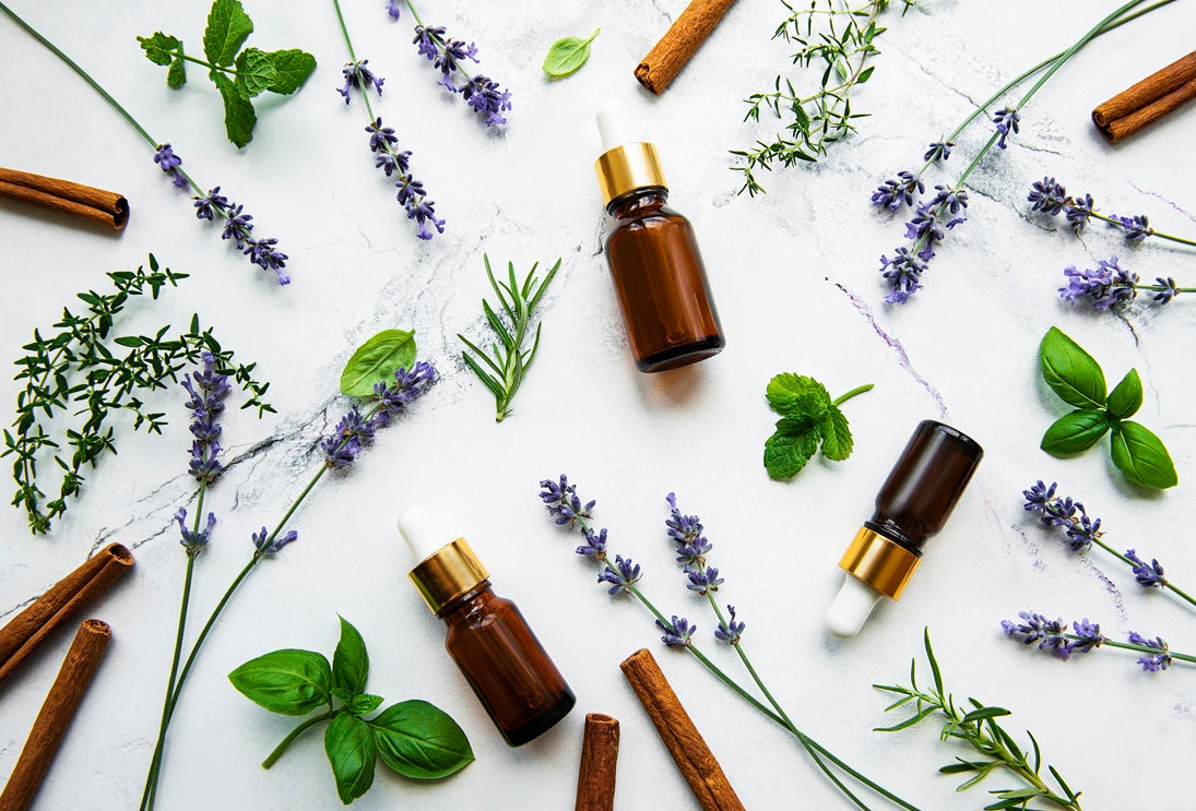 Essential Oils and Plant Extracts