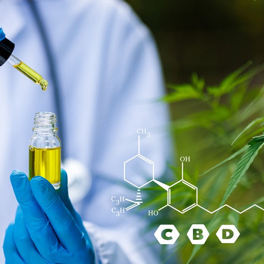 Person in a lab coat holding a dropper with a cannabis plant and chemical structure diagram in the background